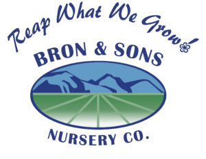 Bron and Sons